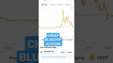 ALTCOIN FOR RISK AVERSE CRYPTO INVESTORS #altcoin #altcoinportfolio #vechain #vechainpriceprediction