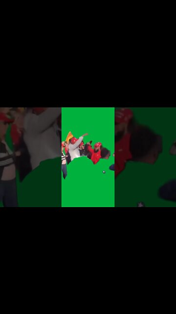 Green Screen – Trump supporters nov 14th dc