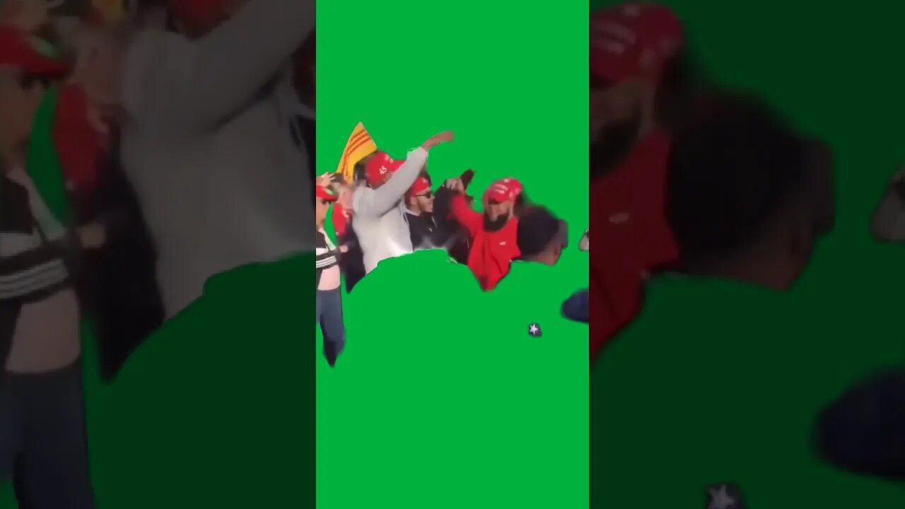 Green Screen – Trump supporters nov 14th dc