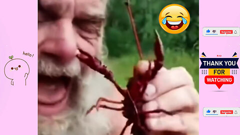 Try Not to Laugh Challenge 🤣 Best Fails of 2024 So Far