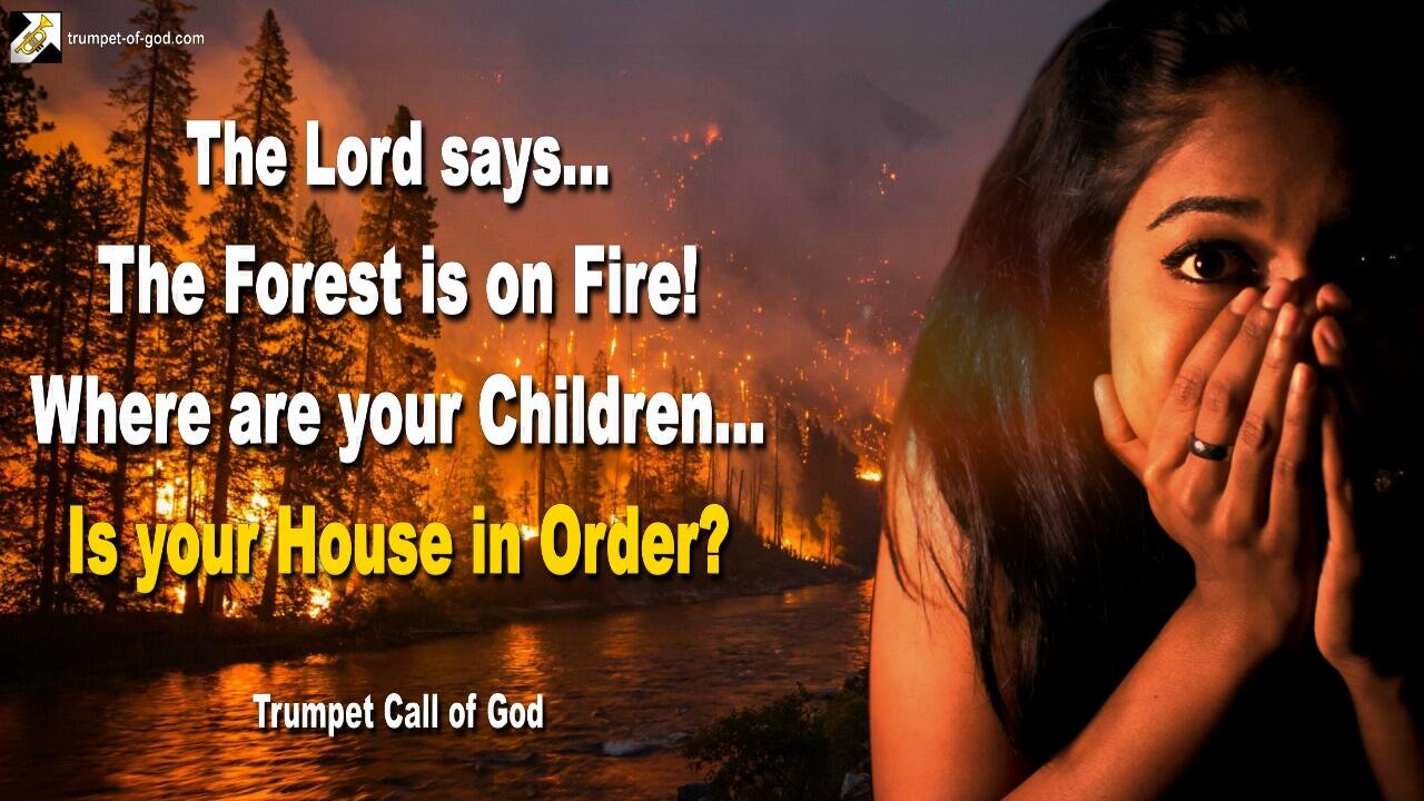 March 11, 2006 🎺 The Forest is on Fire, where are your Children… Is your House in order?