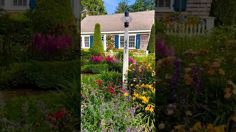 House in flowers 🥰😍