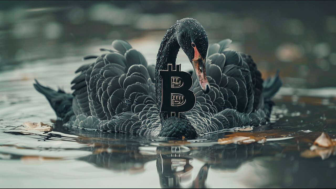 The Orange Coin Can Fly Higher Than the Black Swan, ep 493 The Breakup