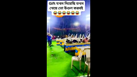 Funny Video