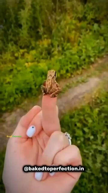 Did you know💀‼️