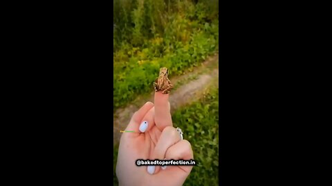 Did you know💀‼️