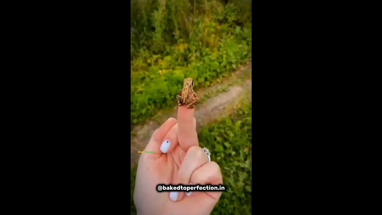 Did you know💀‼️