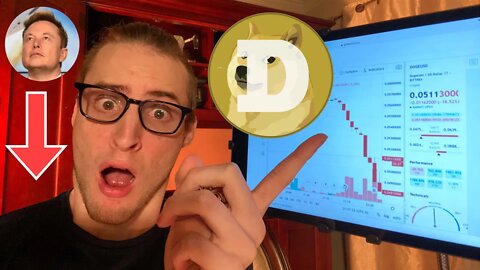 Should we sell our Dogecoin RIGHT NOW?!? ⚠️ Elon Musk DOGE Update ⚠️