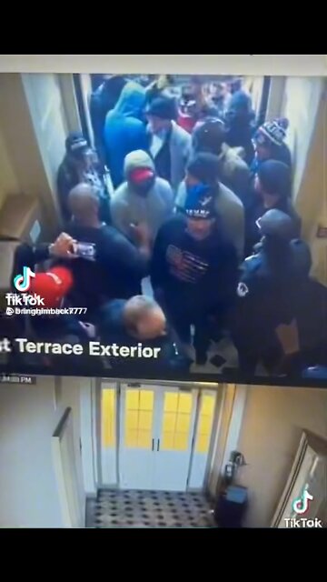 CAPITOL POLICE - BUSTED… PEACEFULLY LEAD THEM ALL IN!