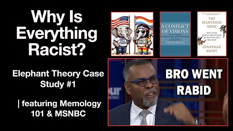 Why Is Everything Racist? Elephant Theory Case Study #1