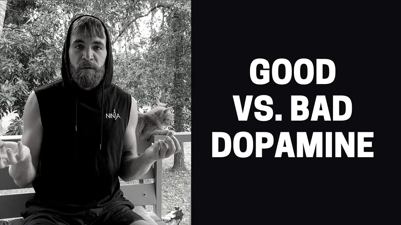 GOOD VS. BAD DOPAMINE I Dopamine Detox DAY 34/60