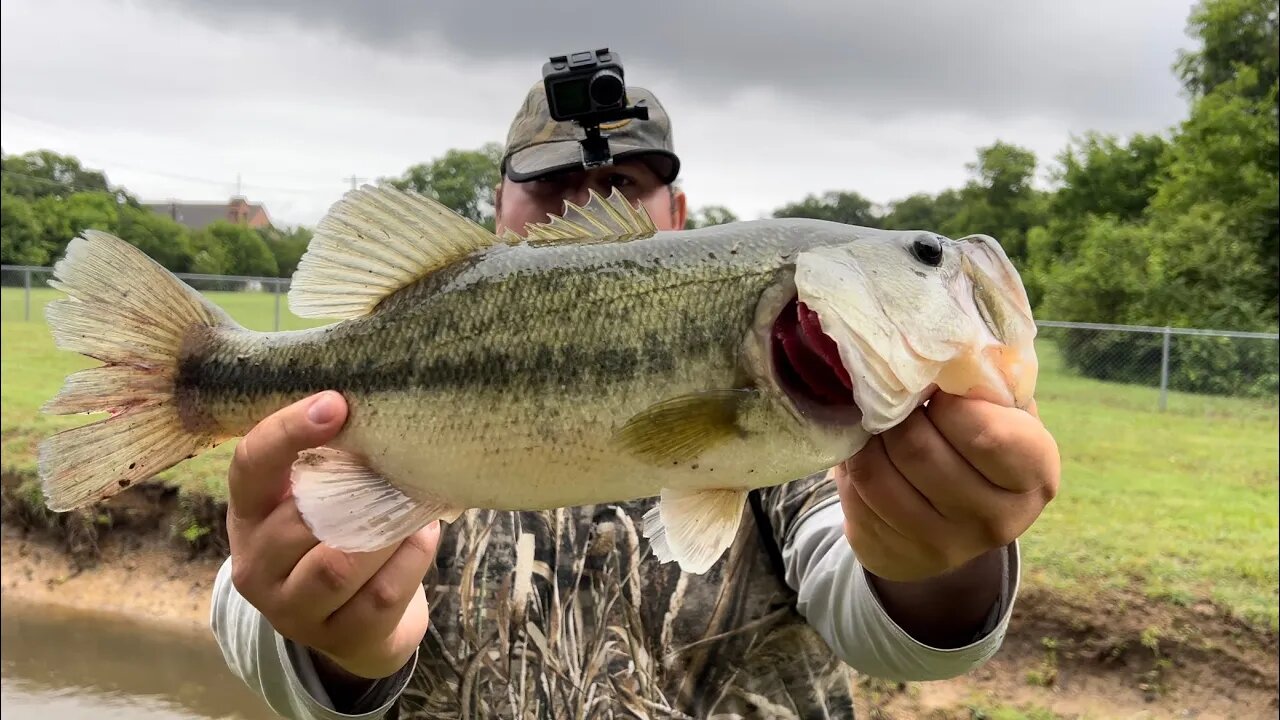 BEST FISHING VIDEO ON YOUTUBE (You’ve Never Seen a Better Fishing Video)