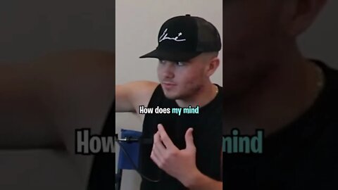 Are Birds Cameras For The Government?