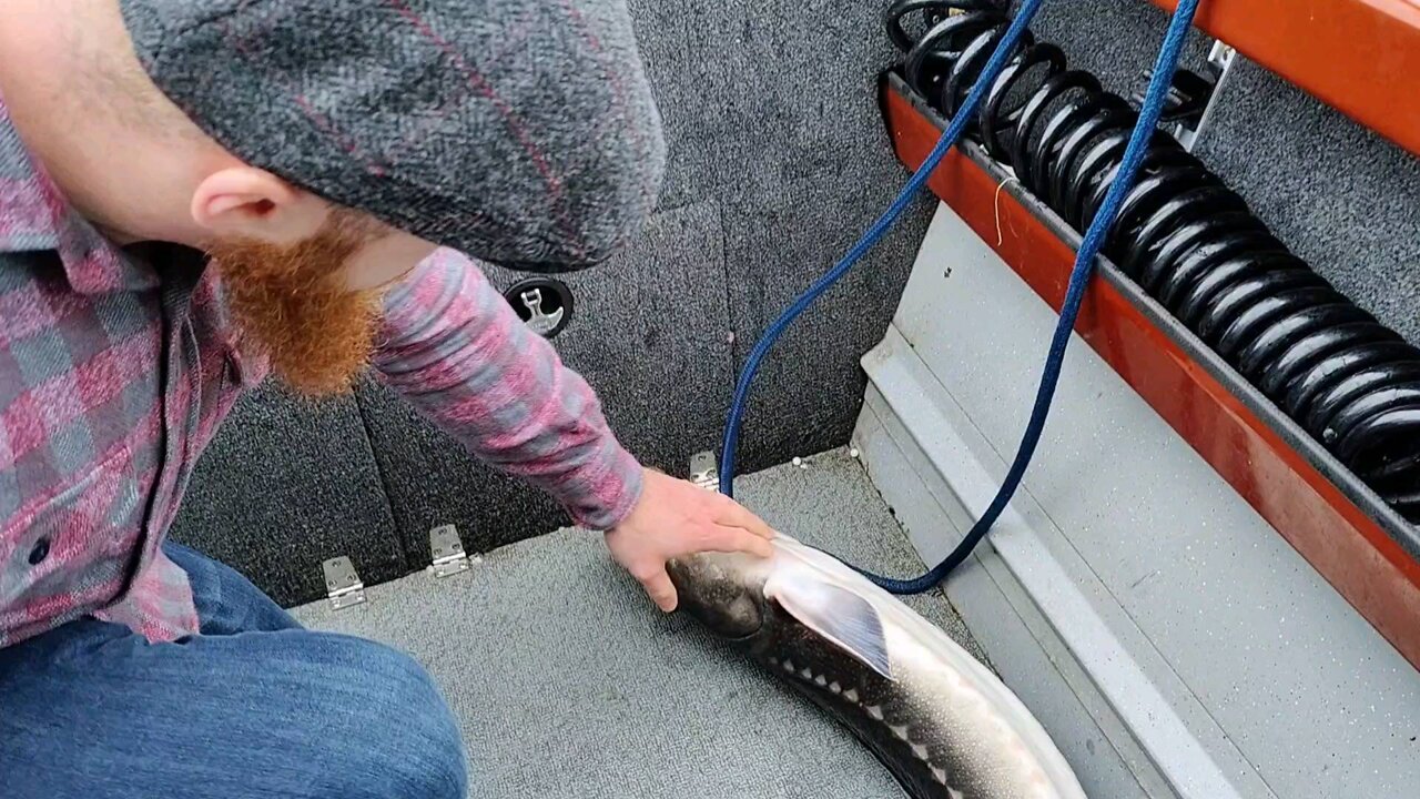 Keeper Sturgeon!