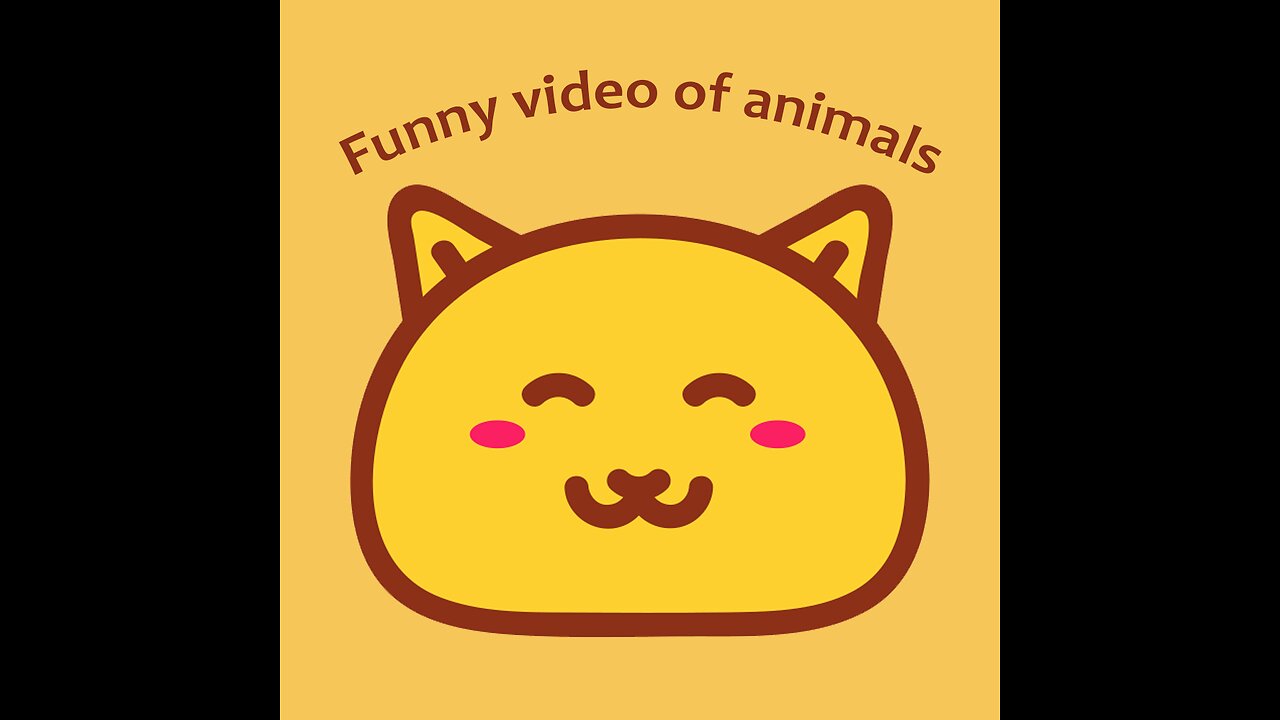 Funny Video Of Cats