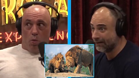 Joe Rogan & Kurt Metzger - Gay Animals