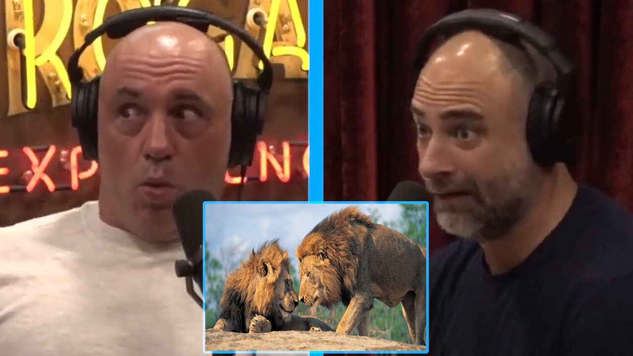Joe Rogan & Kurt Metzger - Gay Animals