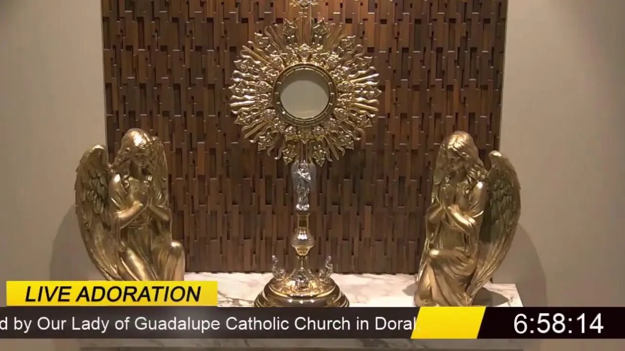 We offer this Live evening Holy Hour