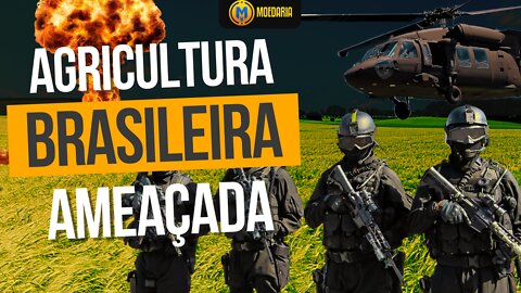 Agricultura brasileira em RISCO!!! Será que aprendemos???