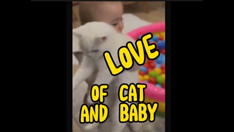 cute cats with babies