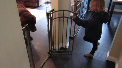 Little girl shows Newfoundland her fort