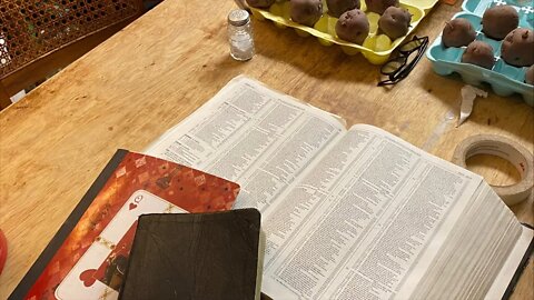 In search of God’s people: the life of David