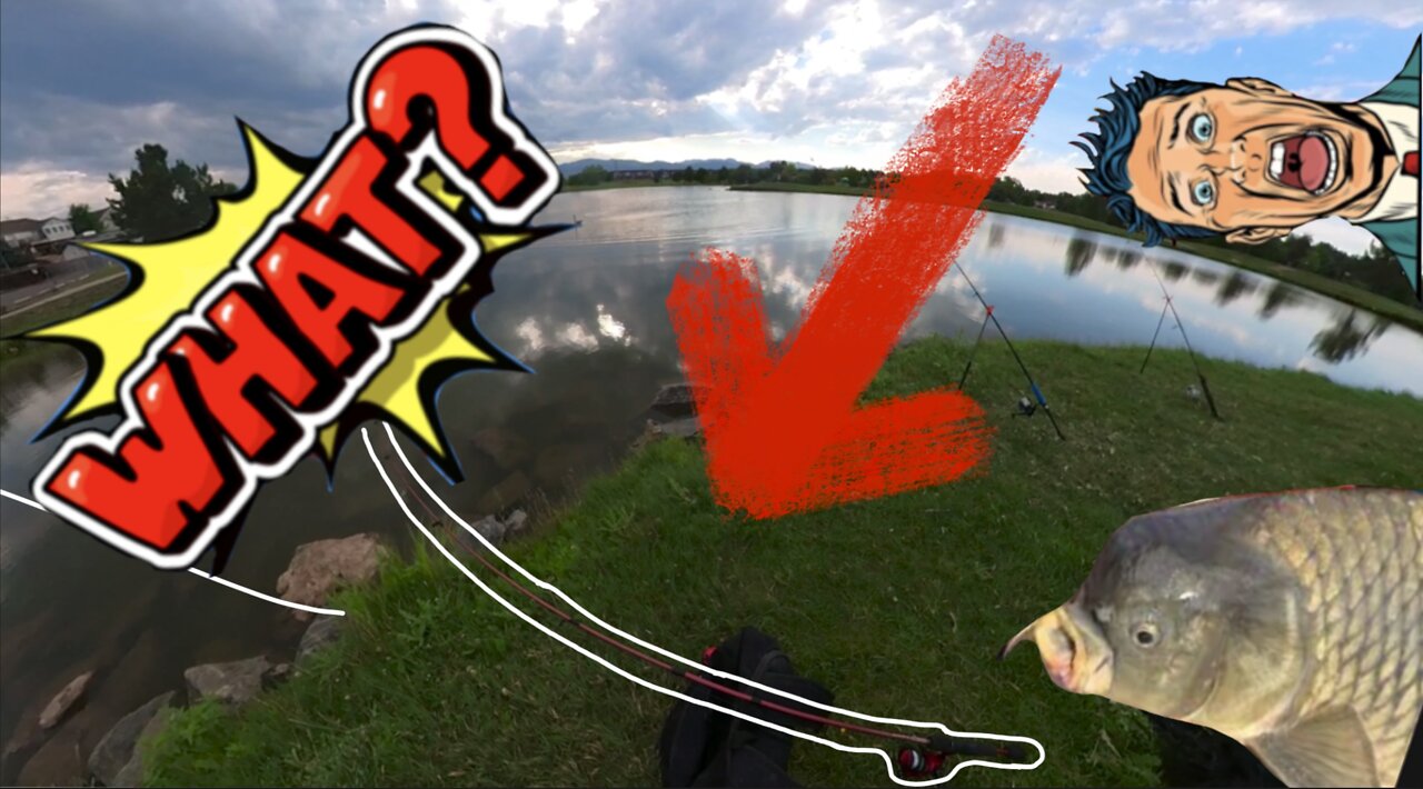 I LOST MY ROD! 😱 ( FISHING FAIL) Fishing for CARP in COLORADO First time FISHING (almost)