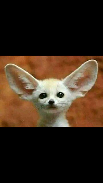 Funny marriage anniversary | Must watch | Funniest Confused | self-respect finished 😂