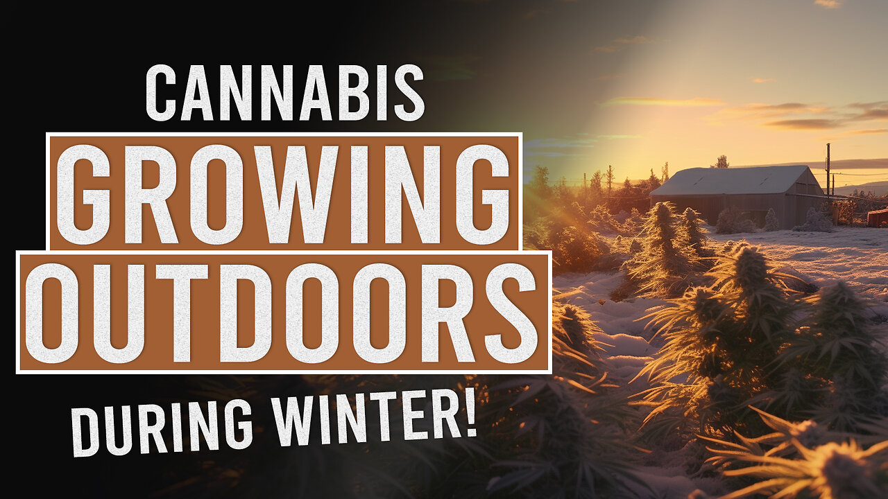 Growing Outdoors During Winter!