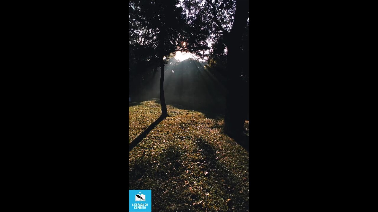 Vamos criar uma corrente de positividade! Compartilhe uma mensagem de amor e compaixão