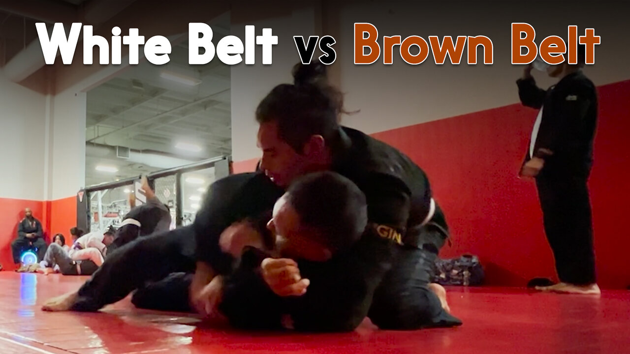 White Belt vs Brown Belt - Circadian MMA (10-03-2022) PART 2 - David Gomez