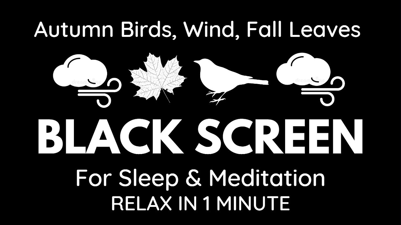 Black Screen White Noise | 2 Hr Autumn Vibes | No Ads