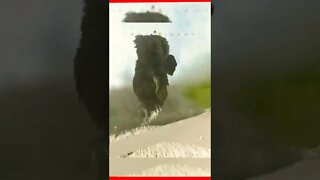 GODZILLA VS KONG NO CALL OF DUTY TA INCRÍVEL 😱😱😱😱😱#godzillavskong #shorts #viral #gaming #callofduty