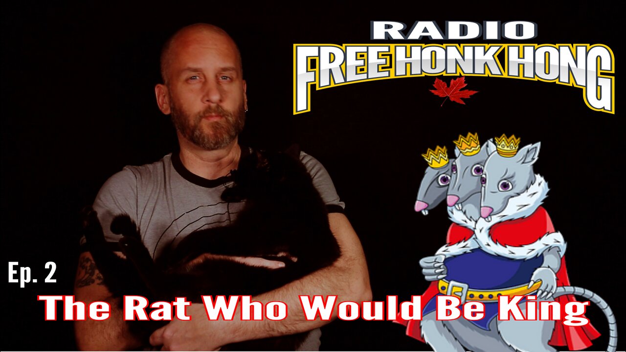 The Rat Who Would Be King