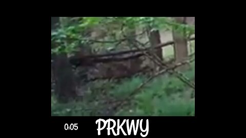 PARKWAY