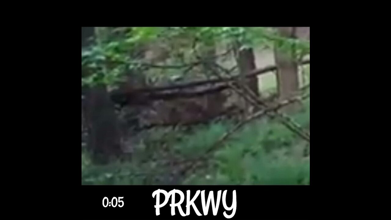 PARKWAY