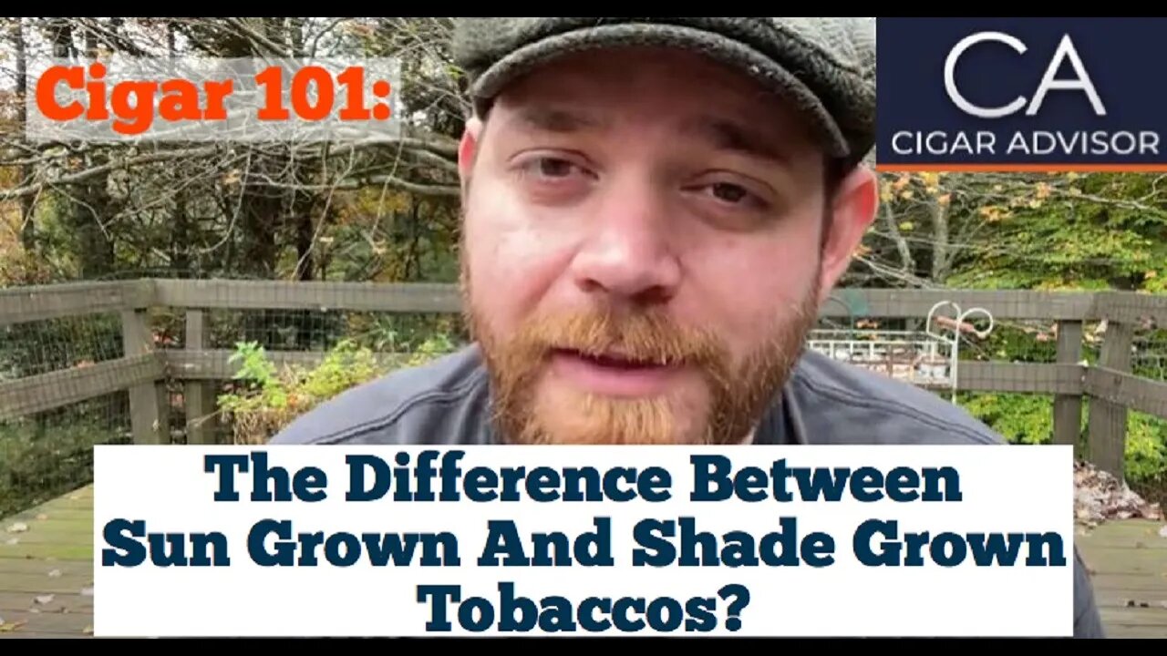 What’s the difference between Sun Grown and Shade Grown tobacco? - Cigar 101