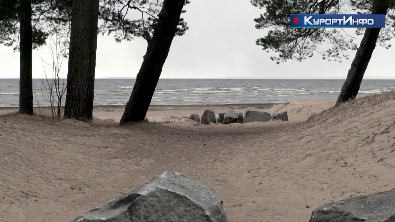 На Дубковском пляже навели порядок, очистив берег от наносного мусора