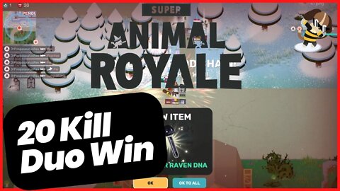 20 Kill Duo Win in Super Animal Royale