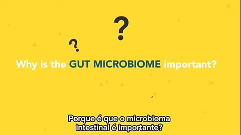 Porque é que o nosso microbioma intestinal é importante?