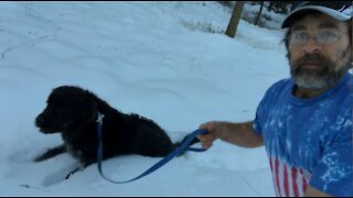 Needless Winter Tragedy