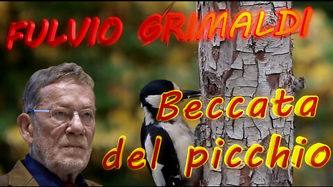 Beccata del picchio - 5° Puntata