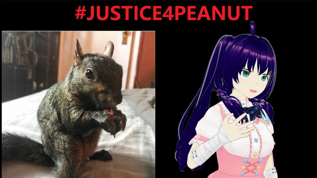 Sunday Livestream JUSTICE FOR PEANUT tribute stream