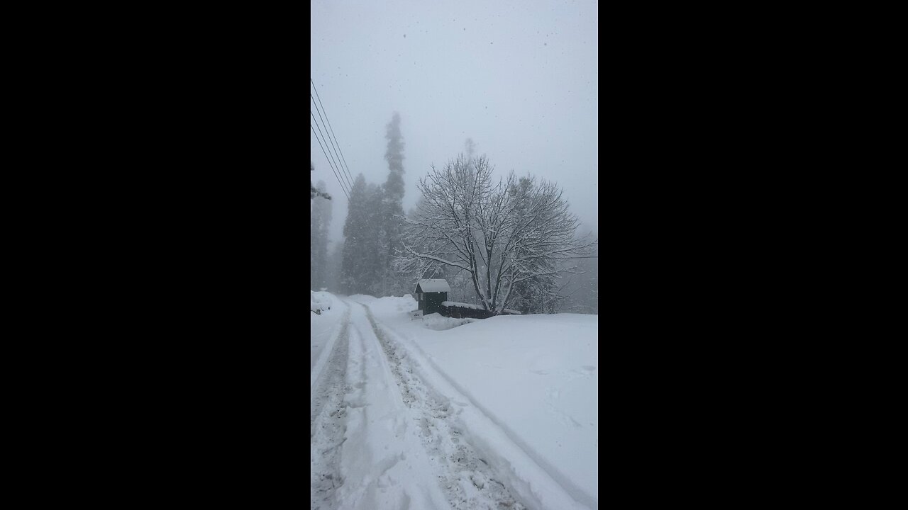 Heavy Snow Fall Scene