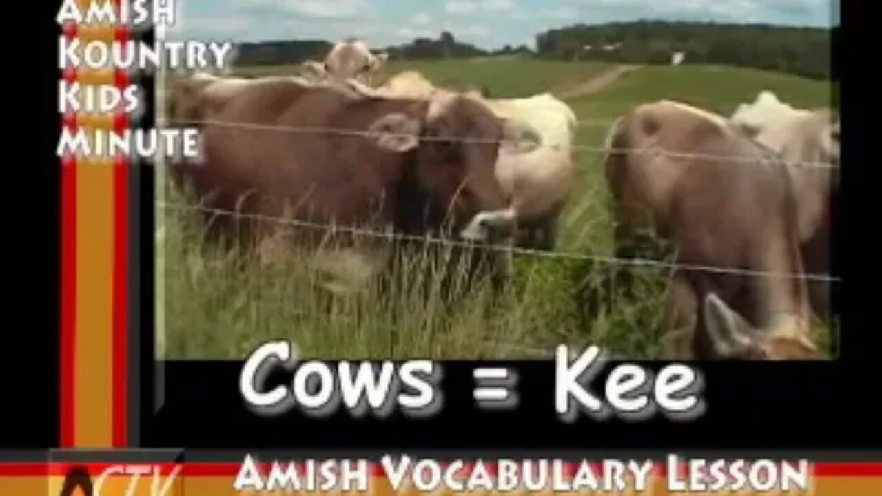 Speak Like an Amish Man Learn How Watch This Video