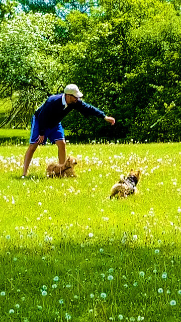 Introducing Russell and Miles!