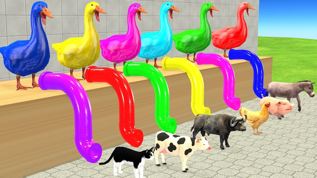 Choose the Right water pipe Game with Giant Duck Cow Elephant Cat Chicken Wild ..