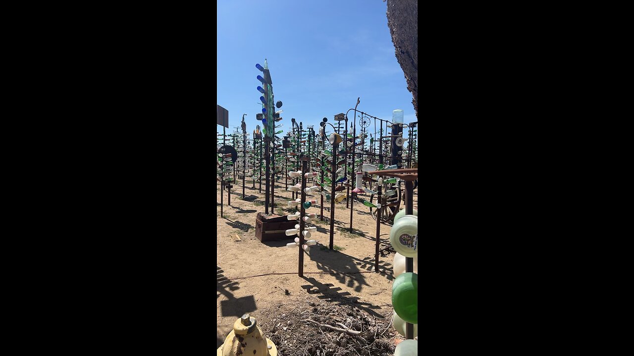 The bottle tree ranch