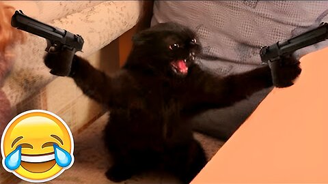 Can't Stop Laughing at These Funny Animals 🤣