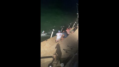 Shark Fishing